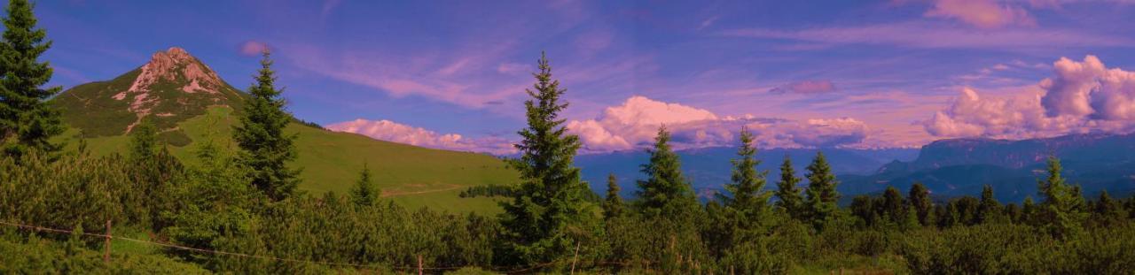 Hotel Garni Salvanel Кавалезе Экстерьер фото